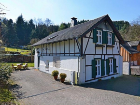 Gorgeous timbered farmhouse in the Sauerland with garden fireplace and bar